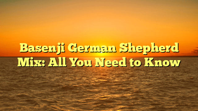 Basenji German Shepherd Mix: All You Need to Know