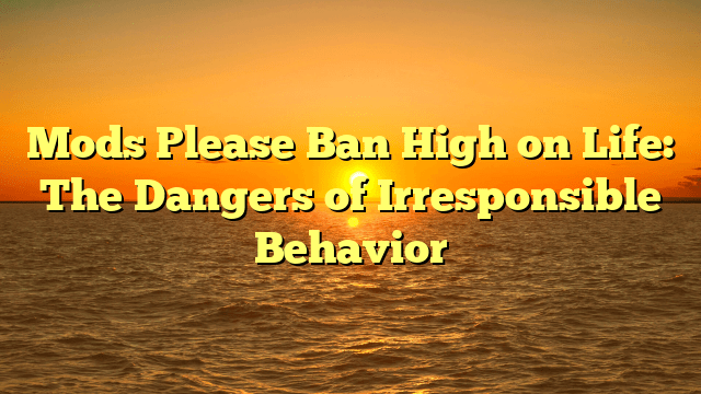 Mods Please Ban High on Life: The Dangers of Irresponsible Behavior