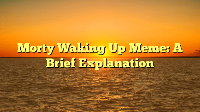 Morty Waking Up Meme: A Brief Explanation