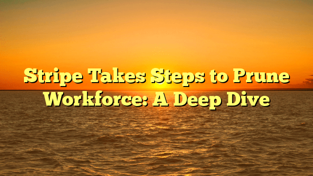 Stripe Takes Steps to Prune Workforce: A Deep Dive