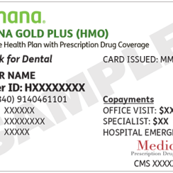 Understanding Healthcare Benefits: What Is the Humana OTC Allowance for 2024 – Exploring Supplemental Coverage