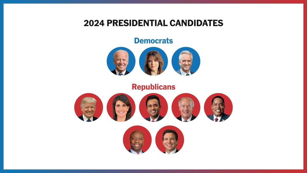 Political Showdown: Maryland District 6 Candidates 2024 - Assessing Political Platforms and Agendas
