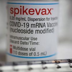 Navigating the Pandemic: Spikevax 2023-2024 Syringe – Vaccination Solutions for the New Year