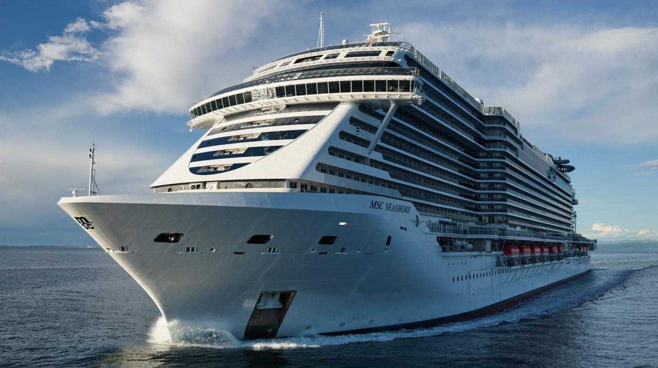 Embark on a Journey: MSC Seashore 2024 Cruises - A New Era of Ocean Adventure
