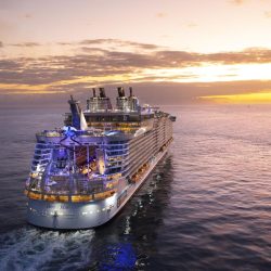 Explore the Seas: Royal Caribbean Fleet Guide 2024 – Your Ultimate Cruise Companion