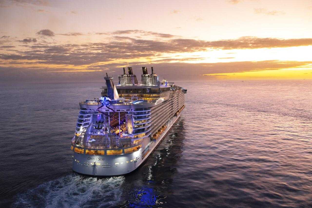 Explore the Seas: Royal Caribbean Fleet Guide 2024 - Your Ultimate Cruise Companion
