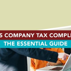 Tax Compliance Guide: When Are Business Taxes Due 2024 – Managing Business Finances