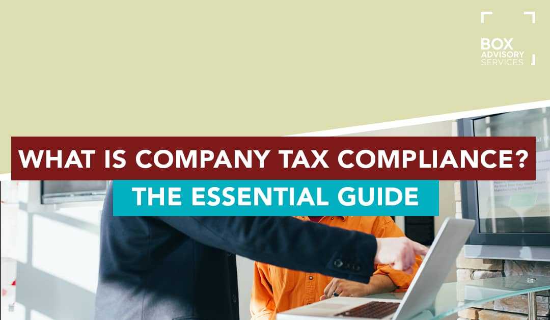 Tax Compliance Guide: When Are Business Taxes Due 2024 - Managing Business Finances
