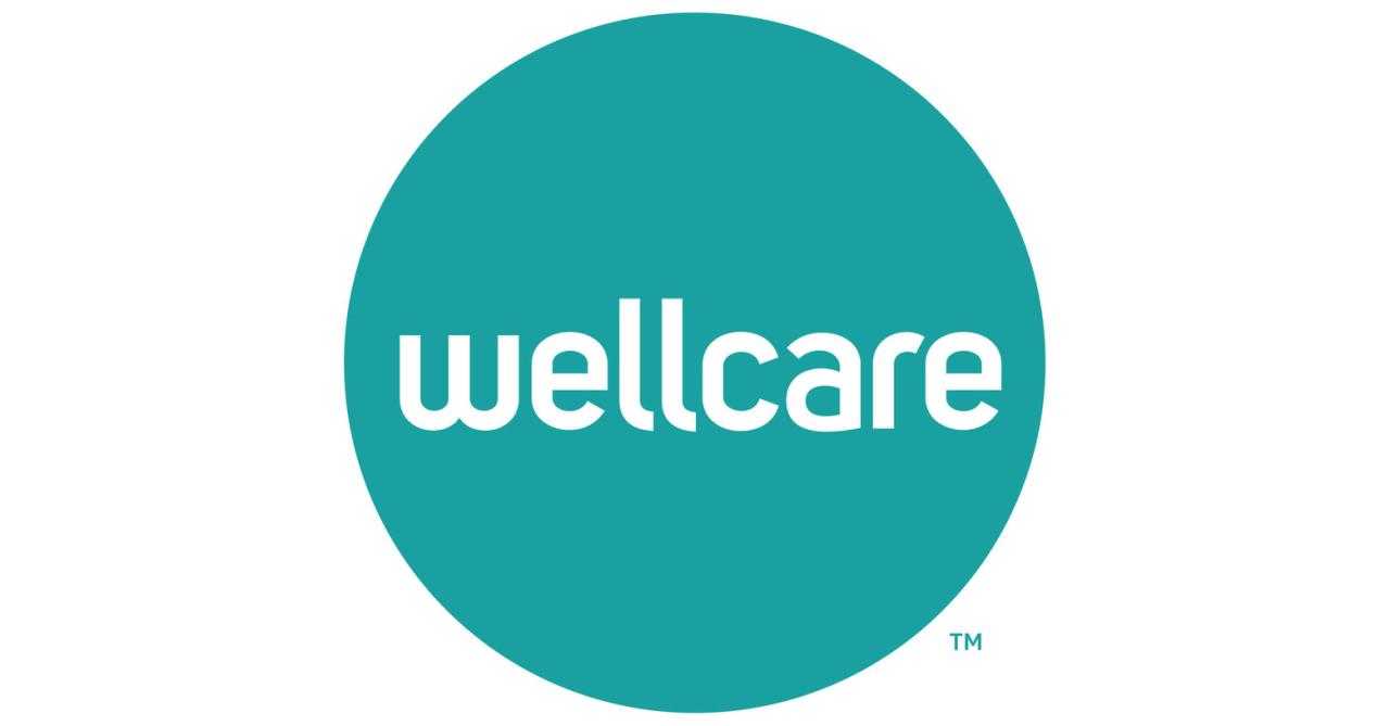 Empowering Your Health: WellCare Medicare Advantage 2024 - Enhancing Wellness Coverage
